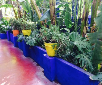 Majorelle Gardens